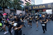 F3389537