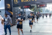 X3390435