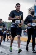 N3389294