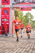 C3393184