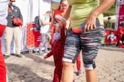 T3394466