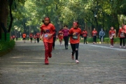 R3397250