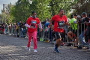 O3395972