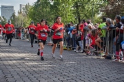 O3396952