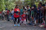 T3395278