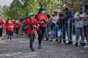 T3395874