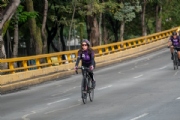 T3408262