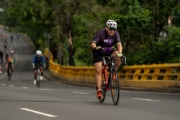 Q3411666