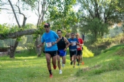 C3419426