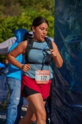 W3415653