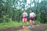 C3426858