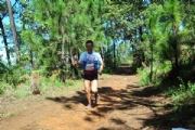 W3426711