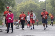 T3432486