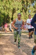 T3431483