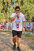 T3431610