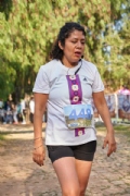 W3431396