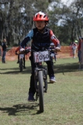 C3448937