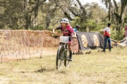 A3447069