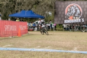 V3446753