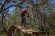 U3445136