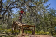 V3445708