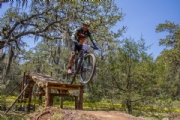 W3445101