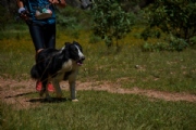 W3442988