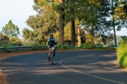 D3451658
