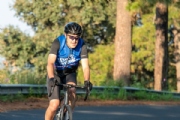 T3451852