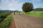 C3452917