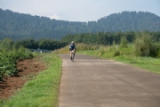 C3453264