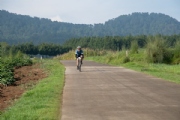 C3453266