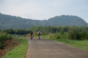 C3453413