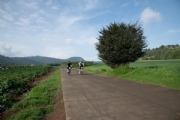 C3453501