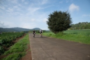 C3453503