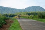 I3452811