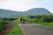 I3452813