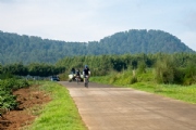 J3453029
