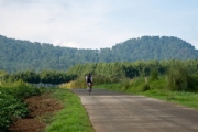 L3453417