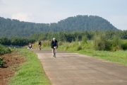 N3453217