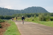 N3453222