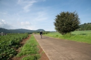 N3453287