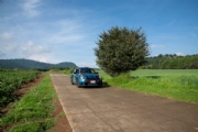 P3453295