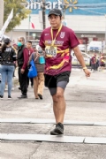 W3455626