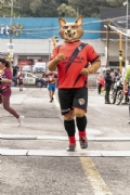W3455844