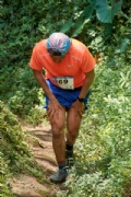 W3460449