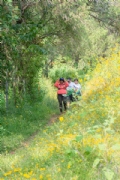 T3481818