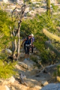 H3495544