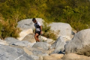 S3495296