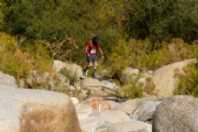 S3496525